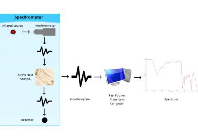 FTIR TECHNOLOGY – ENSURING AUTHENTICITY OF BIRD’S NESTS