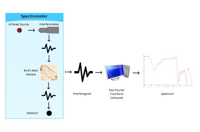 FTIR TECHNOLOGY – ENSURING AUTHENTICITY OF BIRD’S NESTS