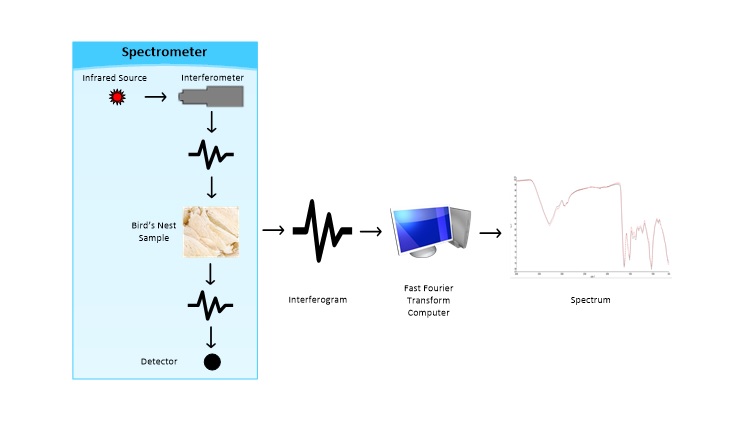 FTIR TECHNOLOGY – ENSURING AUTHENTICITY OF BIRD’S NESTS